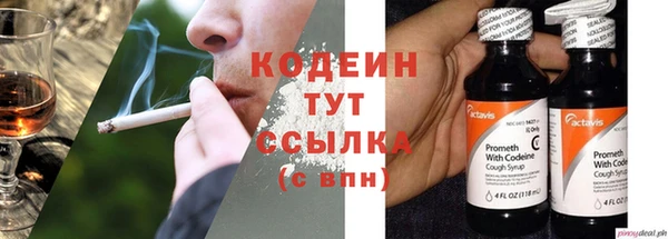ГАЛЛЮЦИНОГЕННЫЕ ГРИБЫ Тайга
