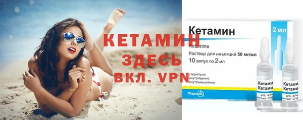 прущие грибы Елизово
