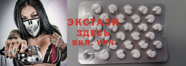твердый Ельня