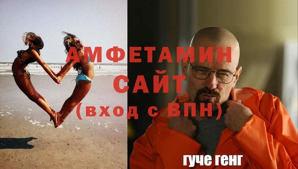 твердый Ельня