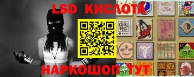 PSILOCYBIN Заволжье