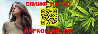 PSILOCYBIN Заволжье