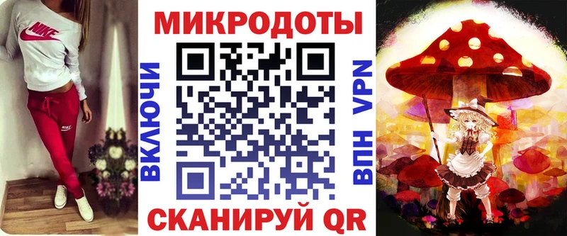 Псилоцибиновые грибы Psilocybe  Карачаевск 