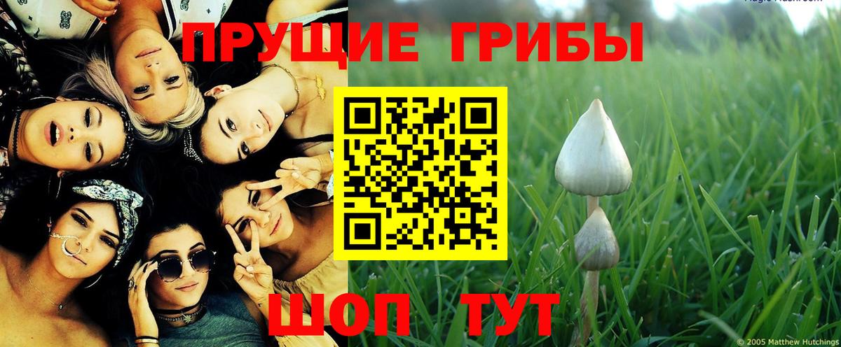 Галлюциногенные грибы MAGIC MUSHROOMS Карачаевск